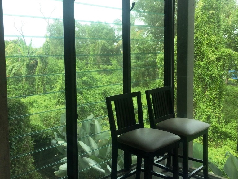 Uninterrupted views out onto greenery from architects office